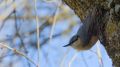 _MG_5653.jpg