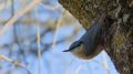 _MG_5654.jpg