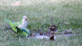 _MG_6372.jpg