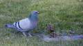 _MG_6413.jpg