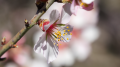 _MG_6524.jpg