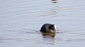 _MG_6614.jpg
