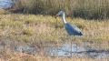 _MG_6634.jpg