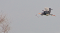 _MG_6669.jpg