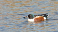 _MG_6698.jpg