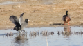 _MG_6735.jpg