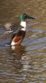 _MG_6770.jpg