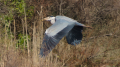 _MG_6789.jpg