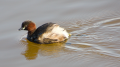 _MG_6794.jpg
