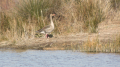 _MG_6860.jpg