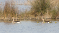 _MG_6870.jpg