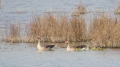 _MG_6874.jpg