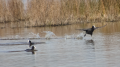 _MG_6876.jpg