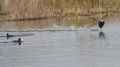 _MG_6877.jpg