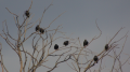 _MG_7059.jpg