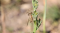 _MG_7678.jpg