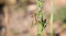 _MG_7679.jpg