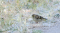 _MG_7687.jpg