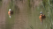 _MG_7710.jpg