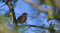 _MG_7759.jpg