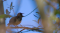 _MG_7767.jpg