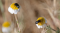 _MG_7772.jpg