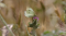 _MG_7789.jpg