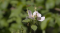 _MG_7802.jpg